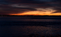 DSC_5590