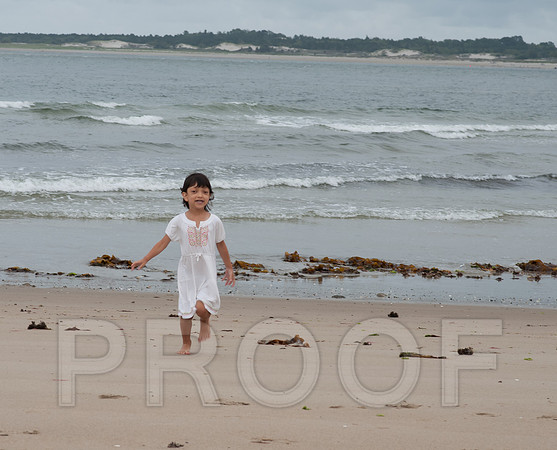 DSC_4956cropped