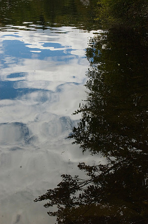 Reflections 3.JPG