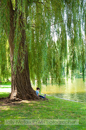 _DSC5971