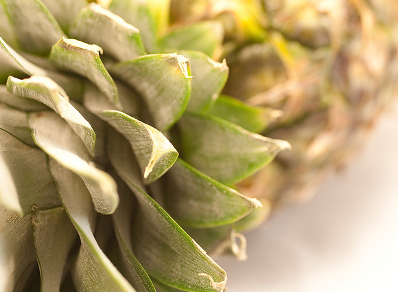 fruit Macro_DSC5497