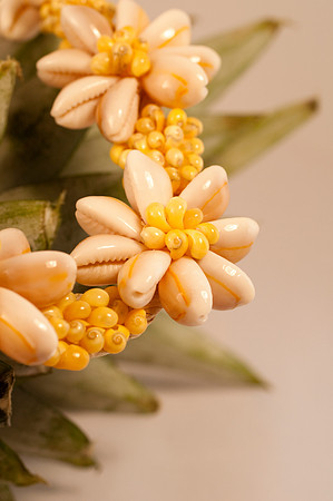 fruit Macro_DSC5508 _1