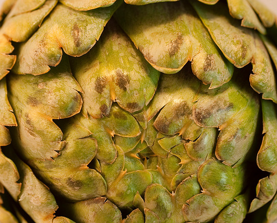 Veggie shots artichoke close up24