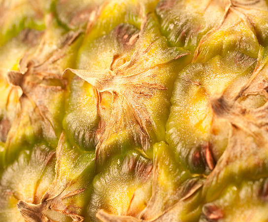 fruit Macro_DSC5494