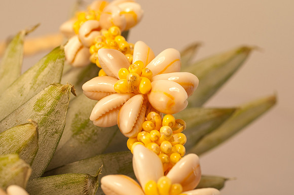 fruit Macro_DSC5506