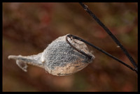 _DSC6651-WEB