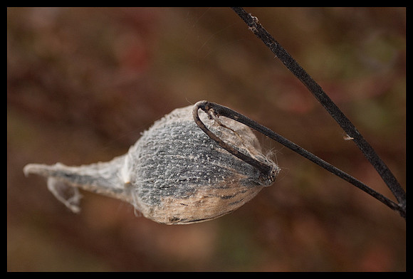 _DSC6651-WEB