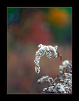 _DSC6696-web