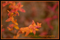 _DSC6714web
