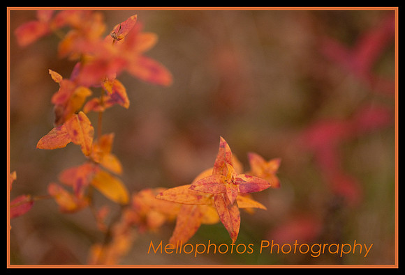 _DSC6714web