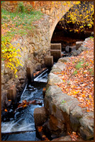 Parker-Bridge-web