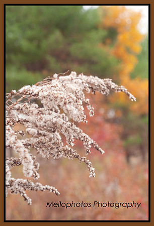 _DSC6692WEB
