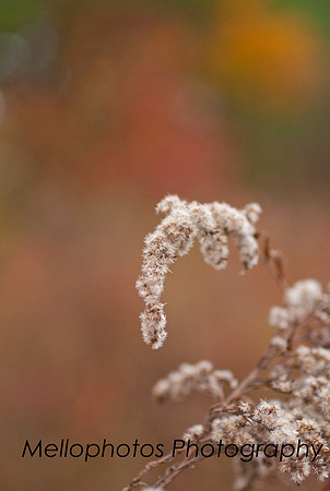 _DSC6696web
