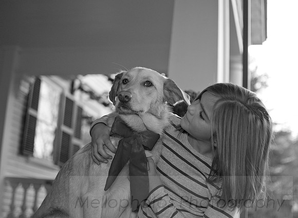 BW_DSC7290