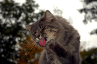 DSC_1048.JPG