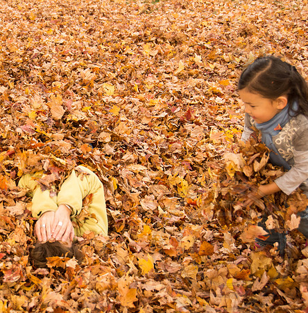 a few more leaves should do it