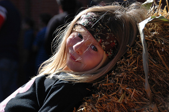 Kerry on Hay.jpg