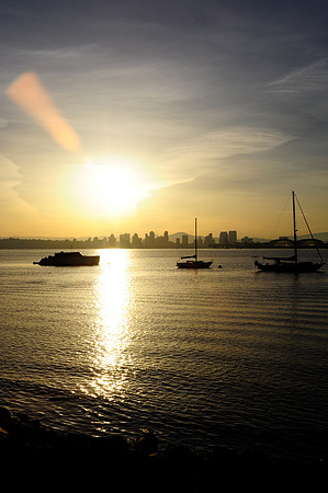 Bayside Harbor Sunset 2031010