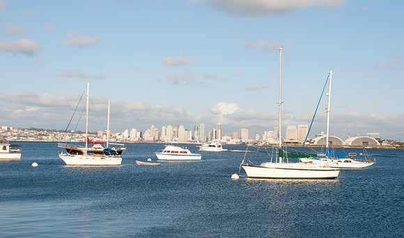 Bayside View Of San Diego031010 _1