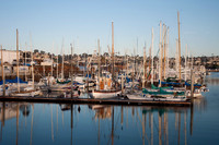 Americas Cup harbor2031010