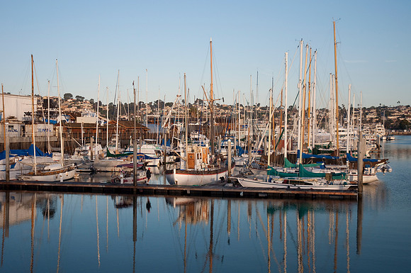 Americas Cup harbor2031010