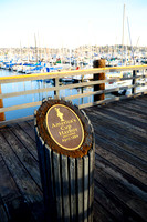 Americas Cup harbor031010