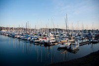 Americas Cup harbor3031010