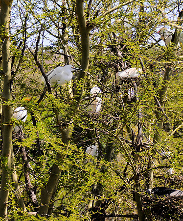 Wild Animal Park50