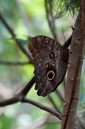 Wild Animal Park45