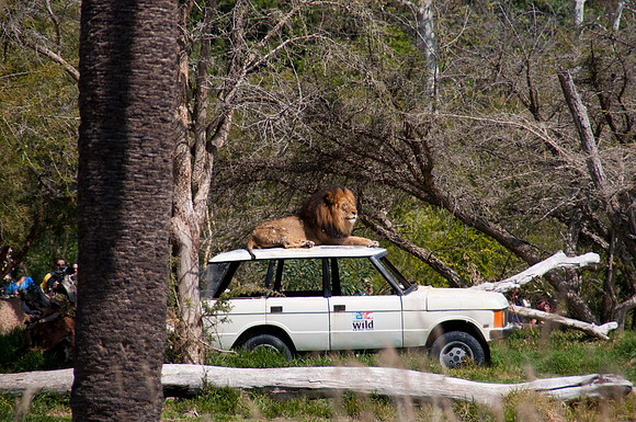 Wild Animal Park92