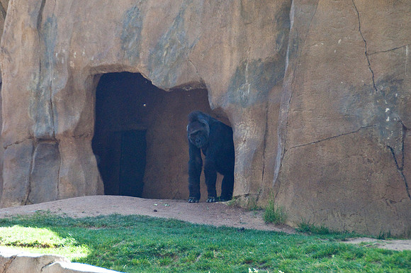 Wild Animal Park33