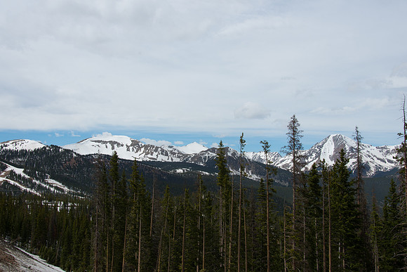 HLM_2772