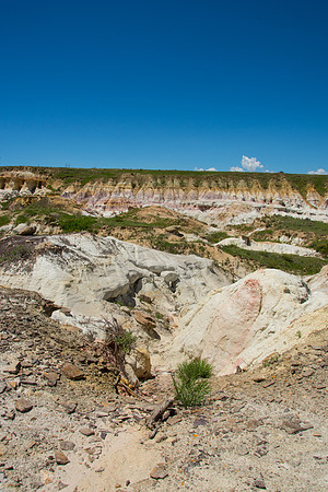 HLM_2917