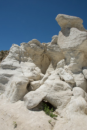 HLM_2878