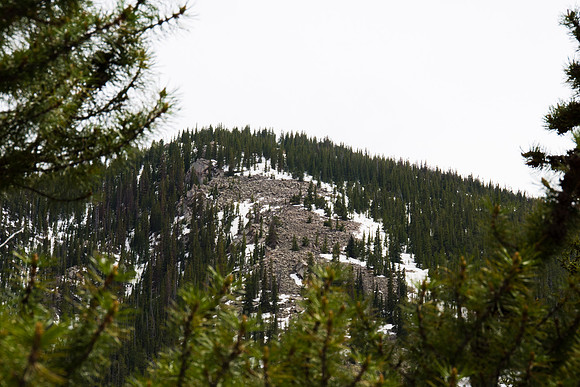 HLM_2758