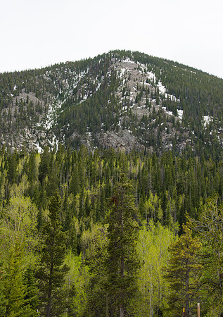 HLM_2752
