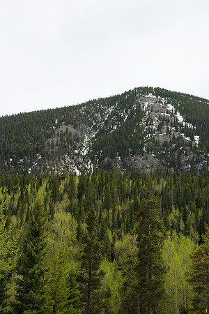 HLM_2751