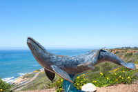 Cabrillo76