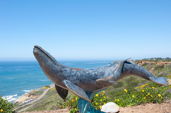 Cabrillo76