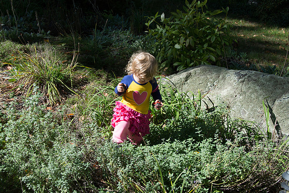 Nevaeh in the garden