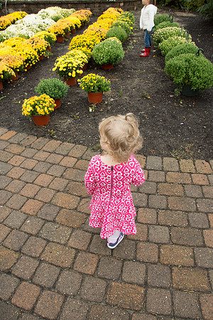 N checking things out