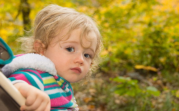 Fall Walk 2