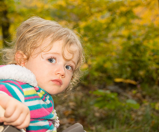 fall walk 3