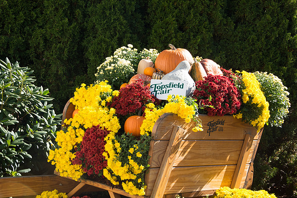 Topsfield Fair