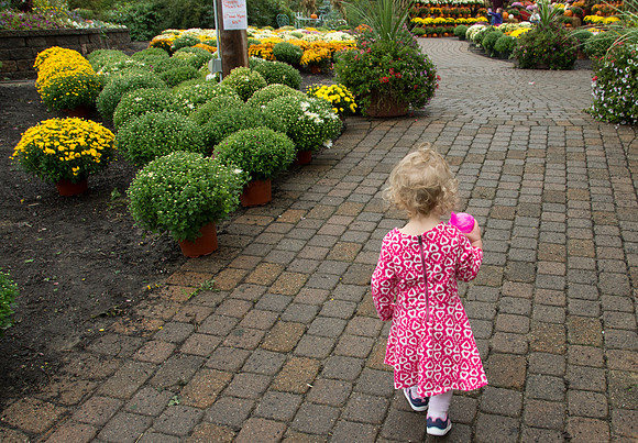 N Running around CIder Hill