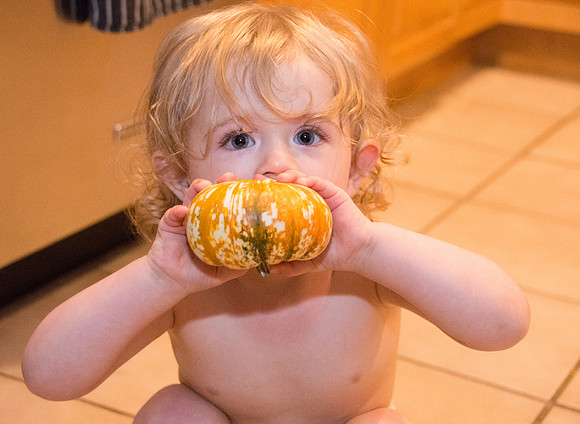 Gourds 2
