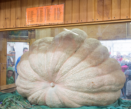 Pumpkin Prize2