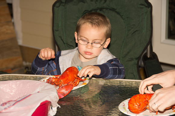 Kayden Lobster