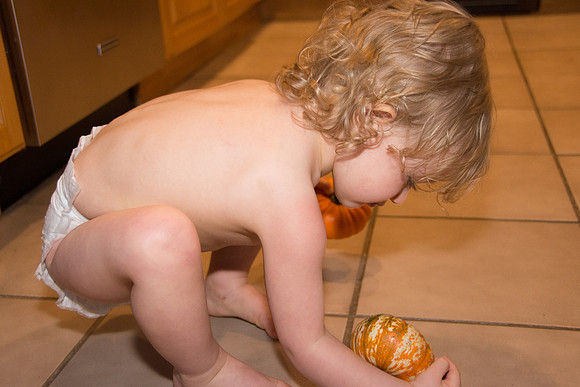 Gourds 1