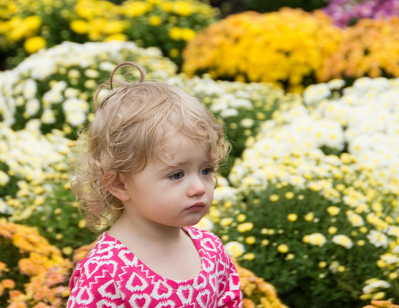 N among the Mums